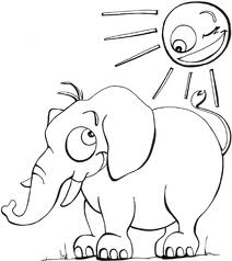 Elephant 20